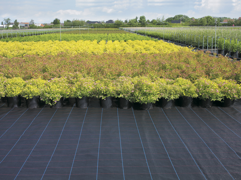 ���a(ch��n)�O(sh��)��