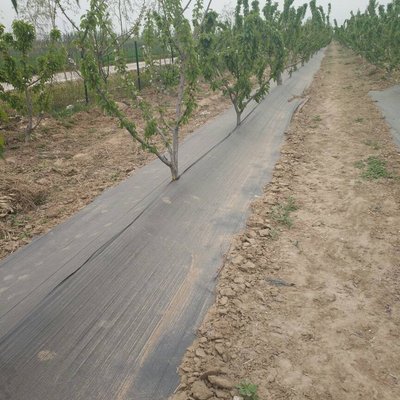 ˮ�a�Bֳ����